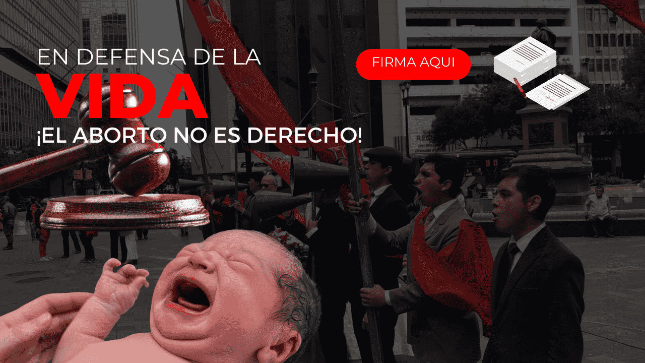 Derecho A La Vida Articulo Ecuador